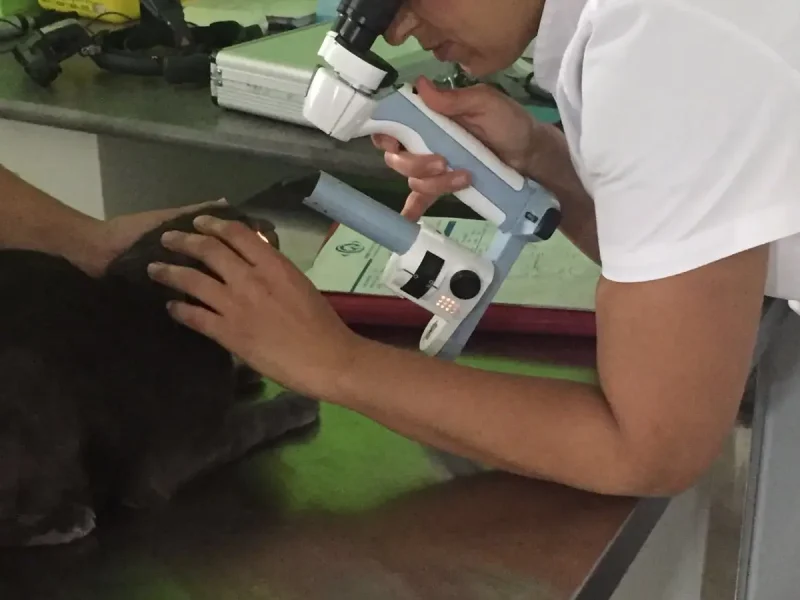 trivet-calafell-oftalmologia-1