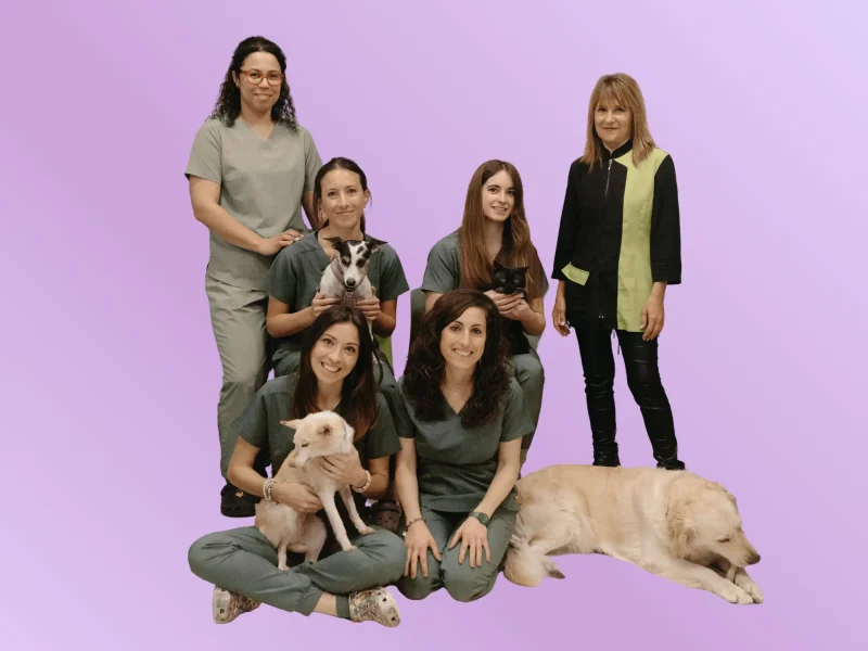 trivet-clinica-veterinaria-calafell